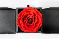 Forever Blossom Handmade Preserved Rose Jewery Gift Box