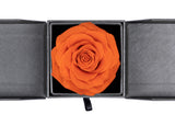 Forever Blossom Handmade Preserved Rose Jewery Gift Box